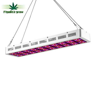 Canada Free shipping, Figolite grow 600w led grow light