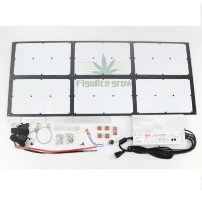 Figolite 600w indoor led grow light Samsung LM301H quantum led samsung board v3 full spectrum mix 660nm uv ir